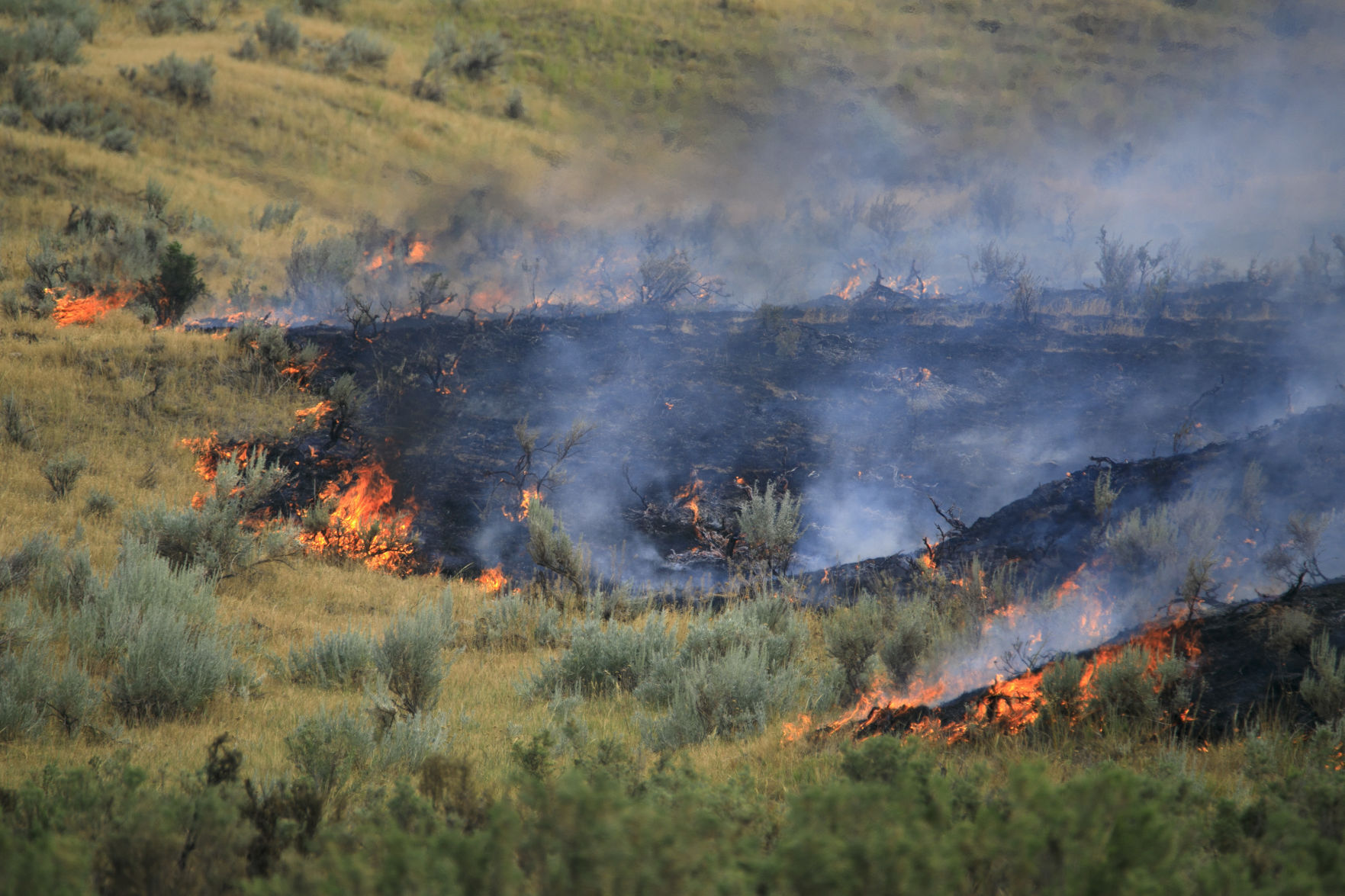 Poverty Flats fire